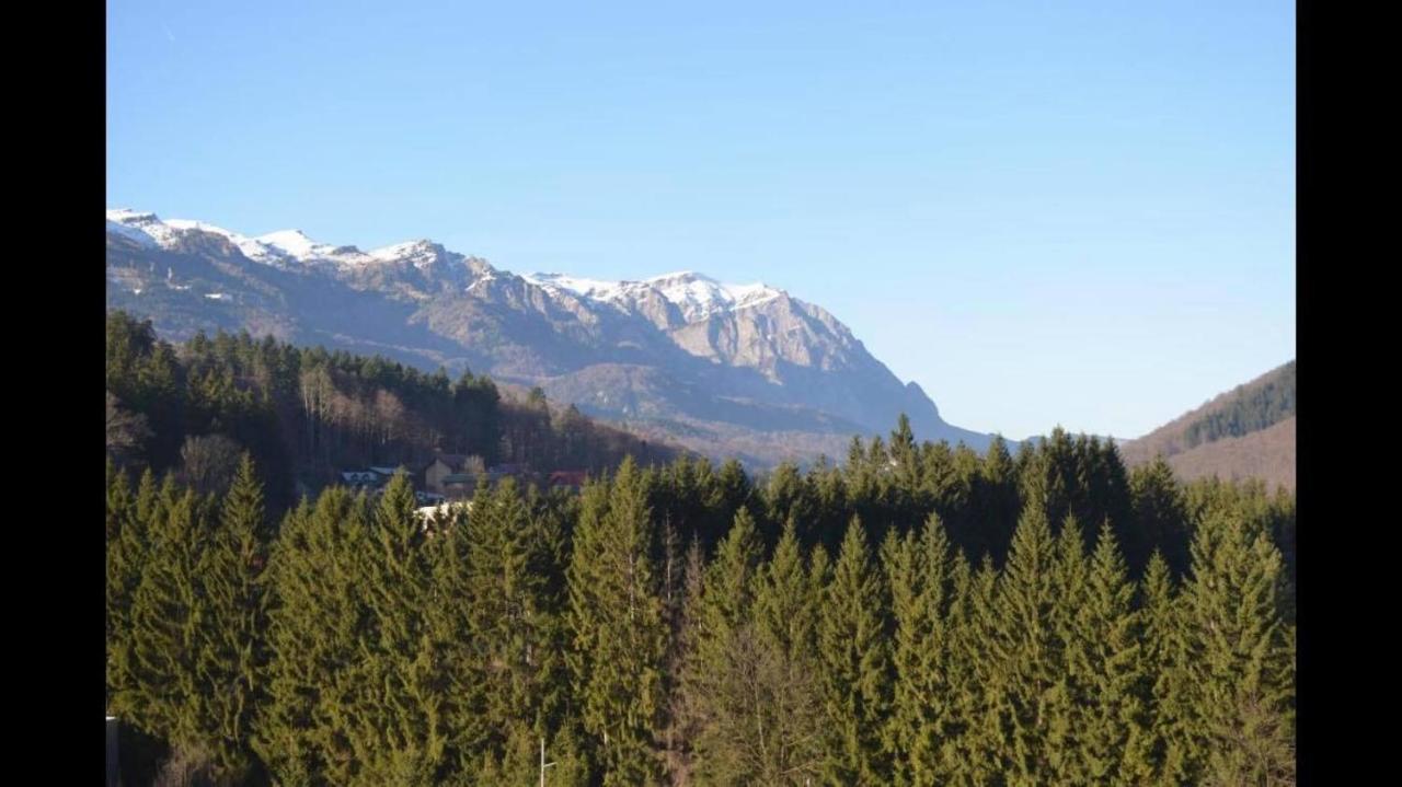 Mountain Residence Синая Экстерьер фото